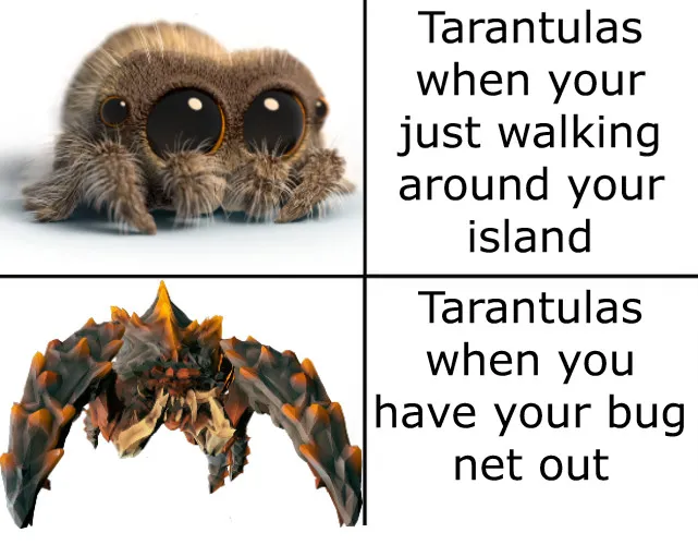 15529 animal crossing tarantula season island transformation
