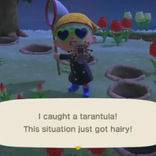 /img/15529-animal-crossing-tarantula-season-museum.webp