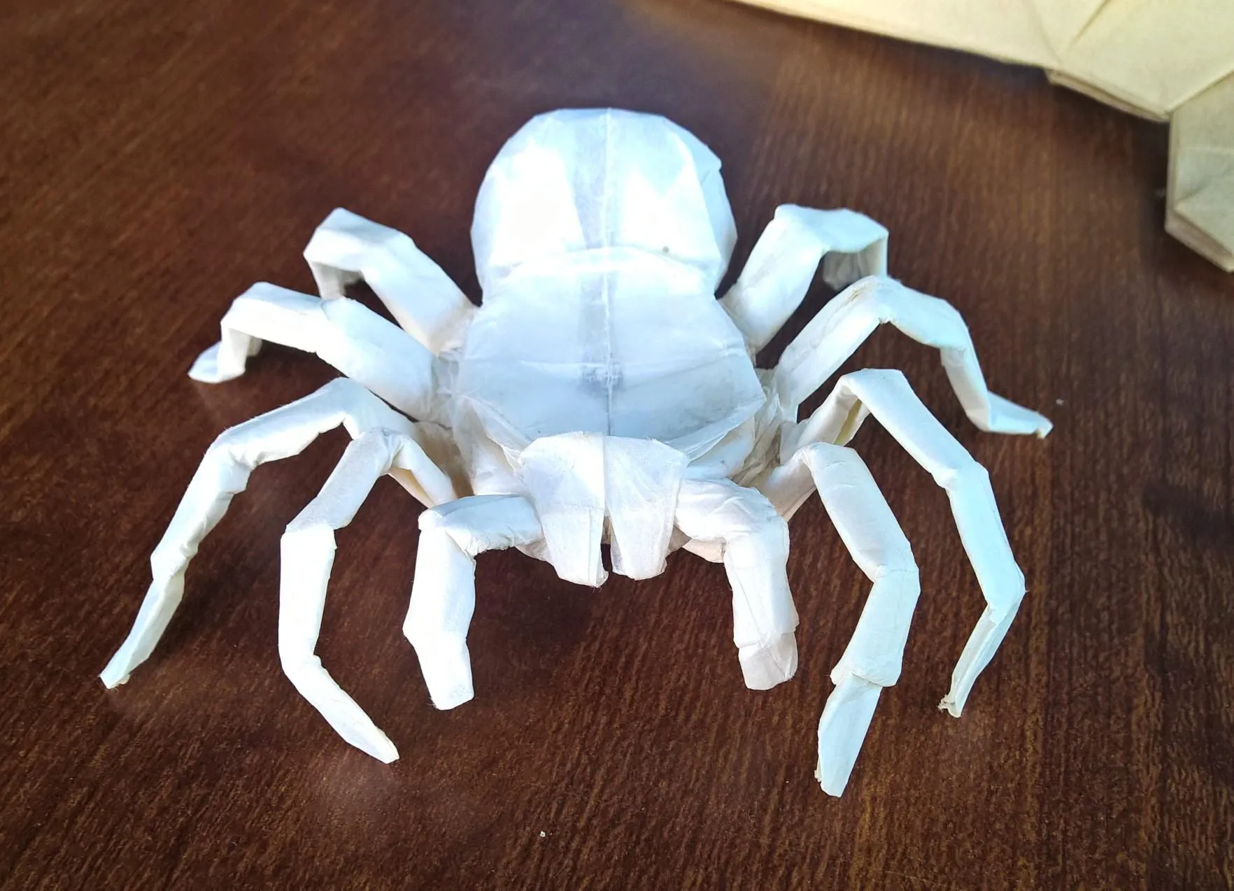 15534 origami tarantula tips