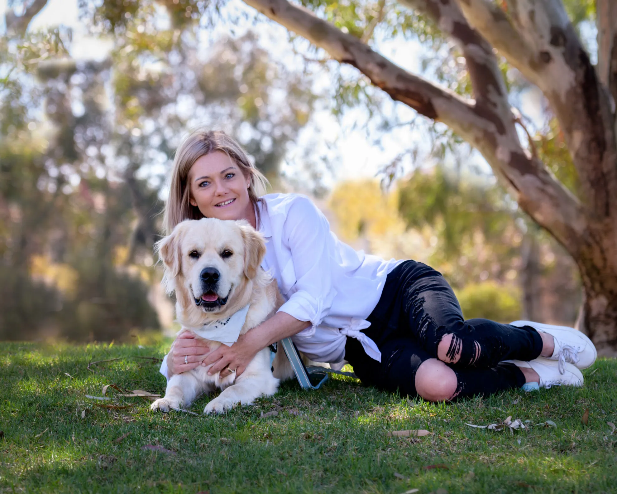 15547 tarantula enclosure