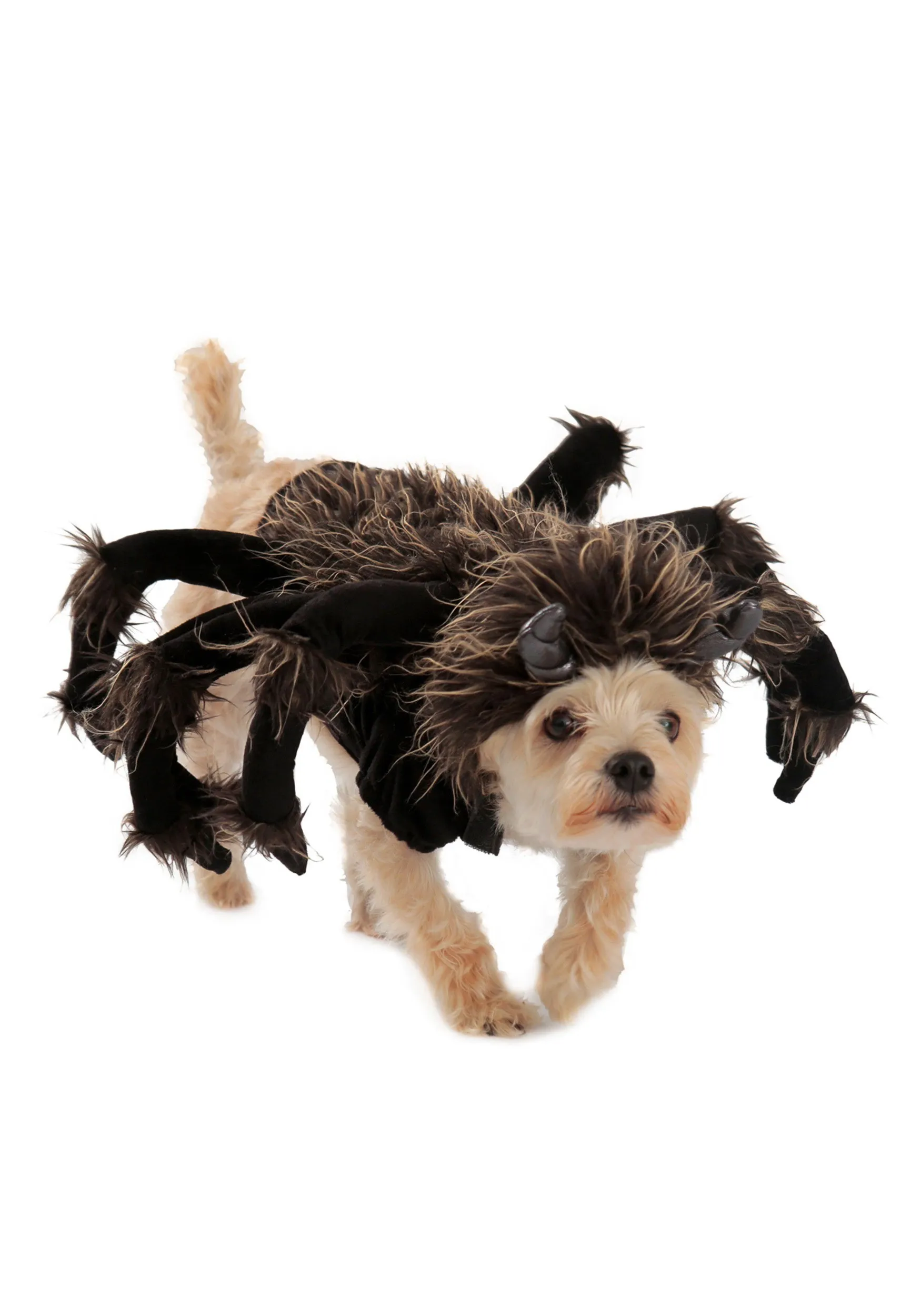 15548 classic tarantula dog costume