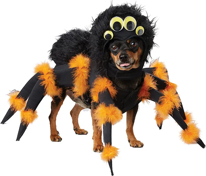 15548 diy tarantula dog costume