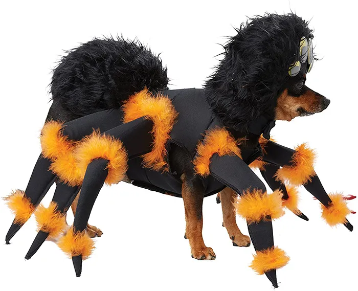 15556 dog tarantula costume editing