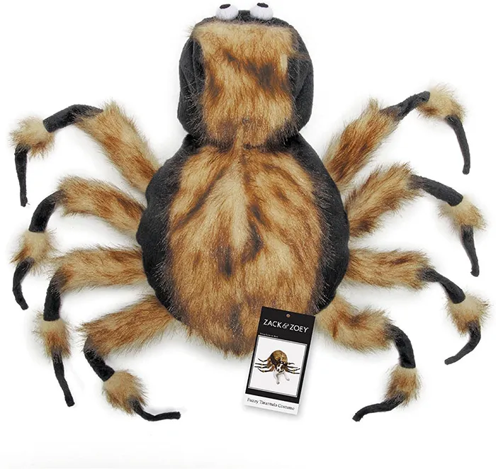 15556 dog tarantula costume filming