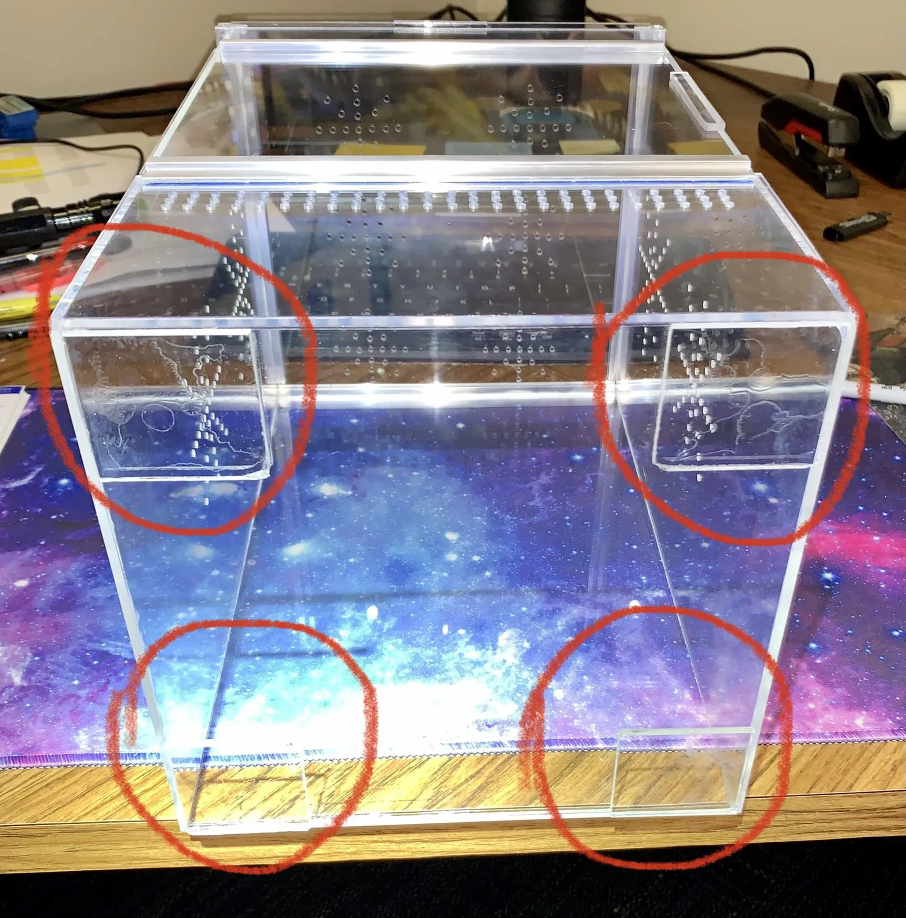 15560 tarantula water dish