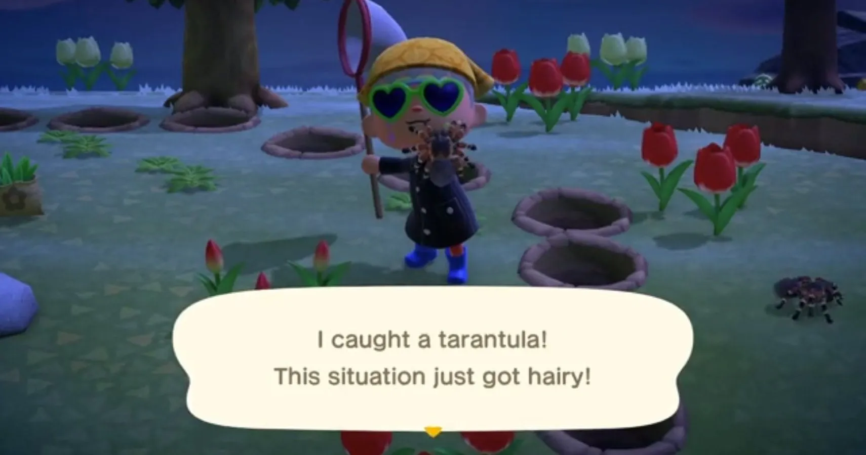 15574 animal crossing tarantula mistakes