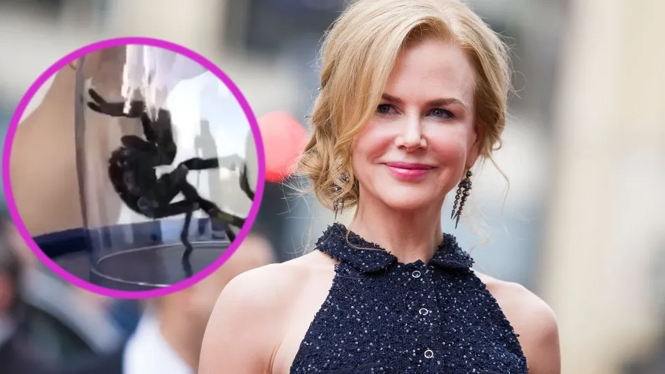 15585 nicole kidman movie set