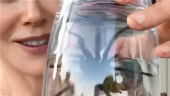 15585 tarantula risk assessment