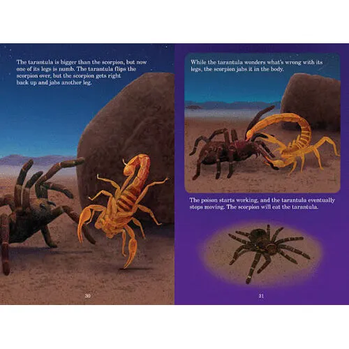 15586 tarantula hunting