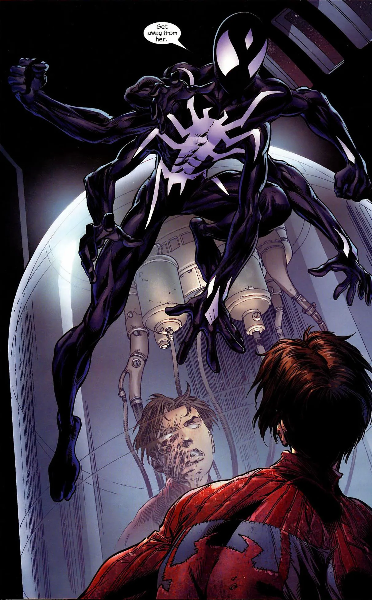 15593 tarantula feeding