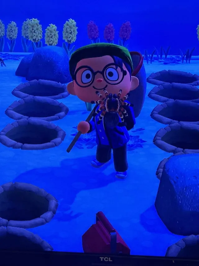 15595 acnh tarantula hunt image 2