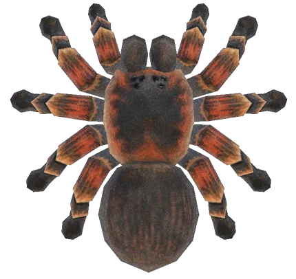 15595 acnh tarantula hunt image 6