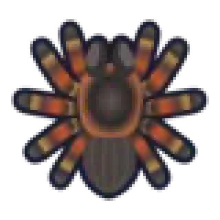 /img/15595-acnh-tarantula-hunt-image-7.webp