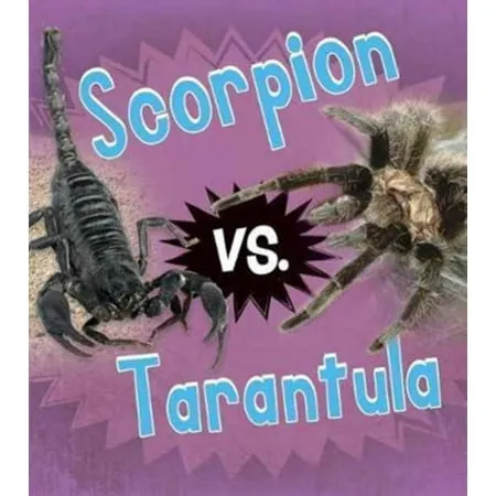 15625 scorpion attacking tarantula