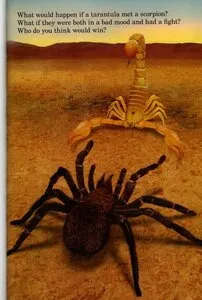 /img/15625-tarantula-attacking-scorpion.webp