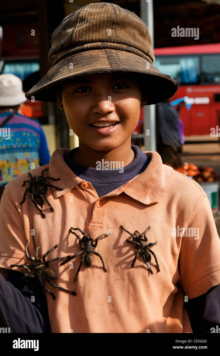 15626 miedo tarantula