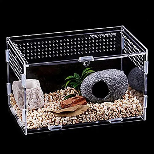 15635 tarantula enclosure uk 2