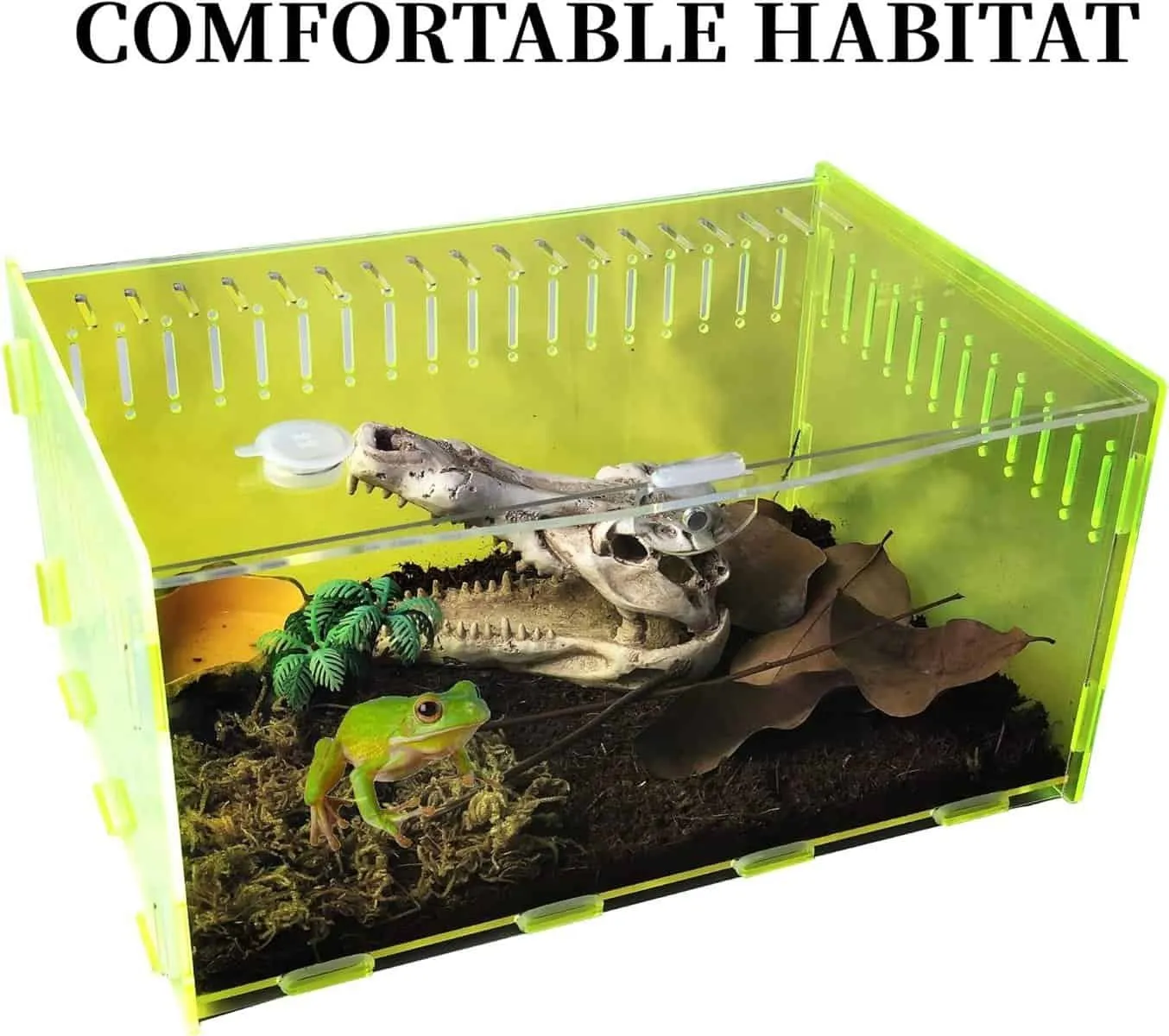 15635 tarantula enclosure uk 6