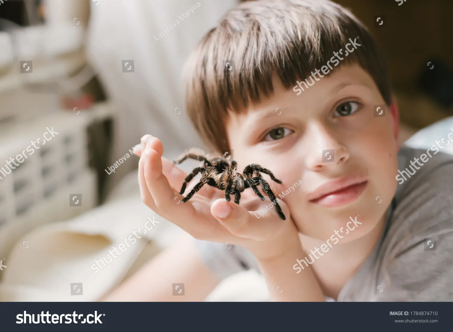 /img/15641-kids-tarantula.webp