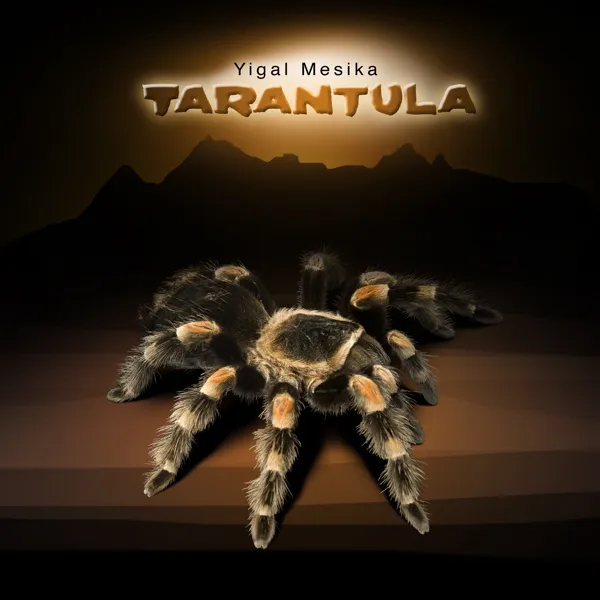 15653 safe tarantula handling