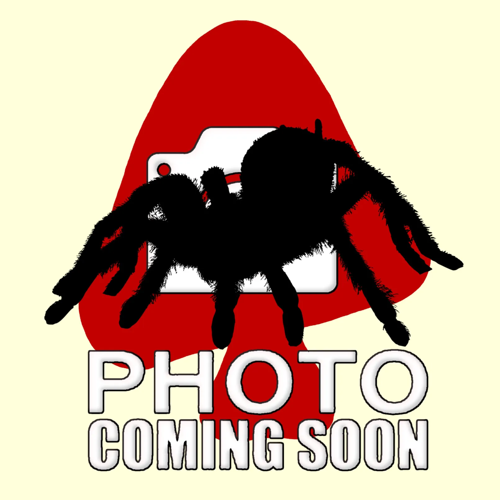 15656 tarantula overview