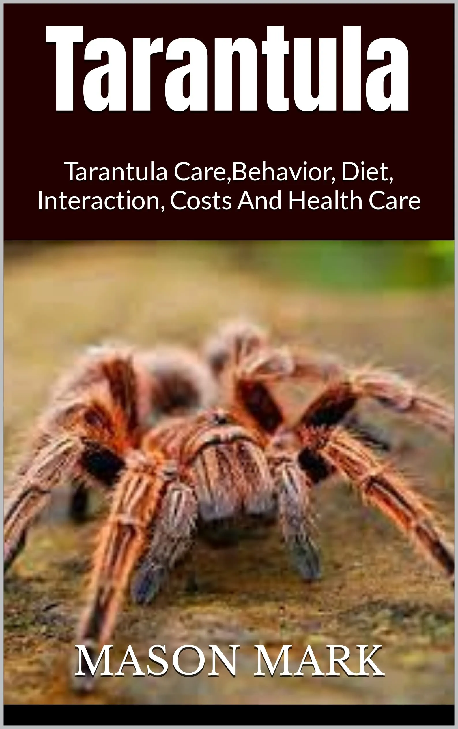 15658 new world tarantula