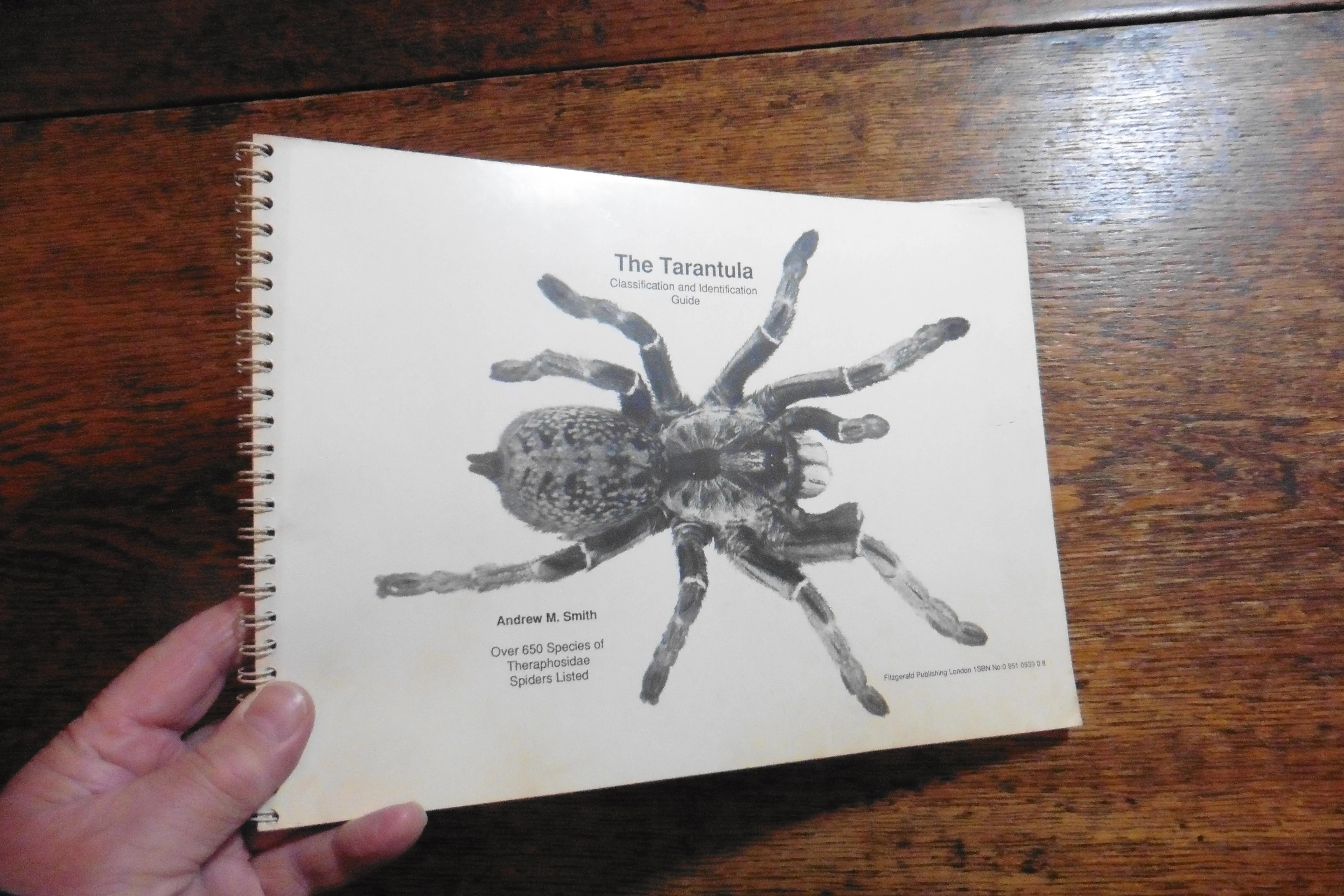 15658 old world tarantula