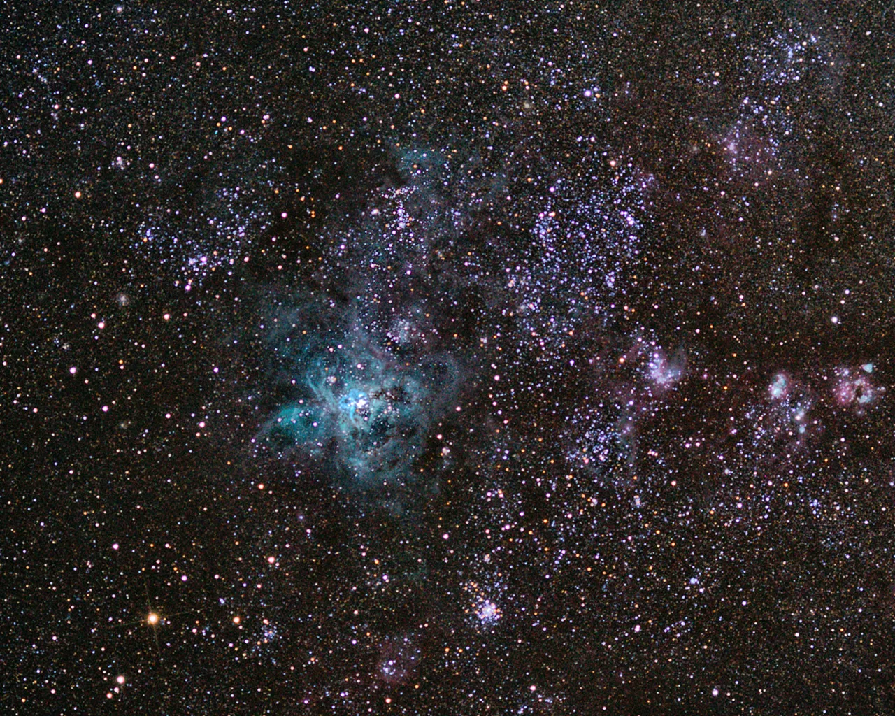 15662 tarantula artwork