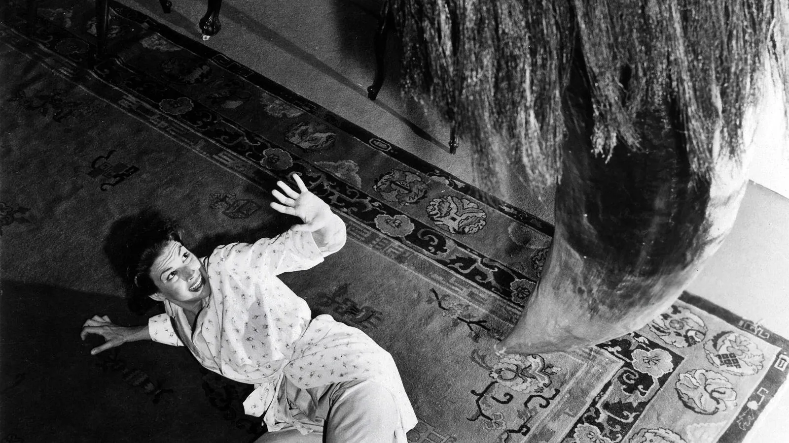 15663 tarantula molting