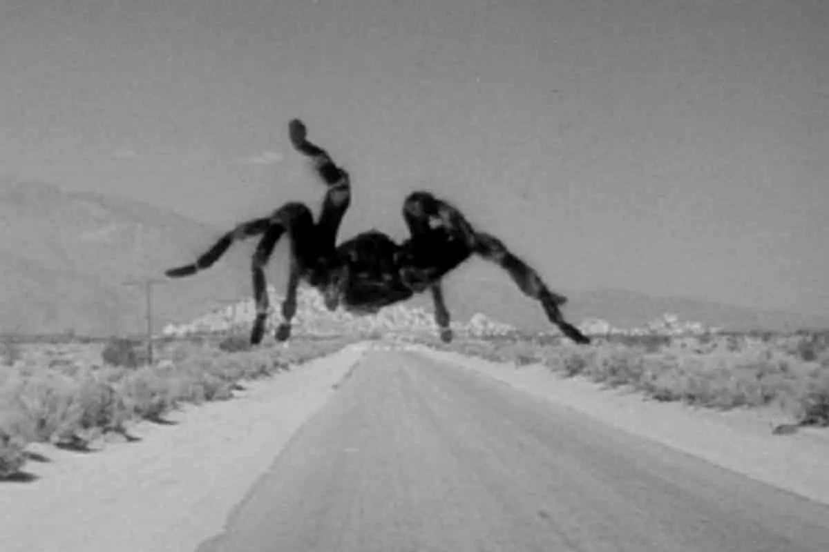 /img/15674-tarantula-impact-on-films.webp