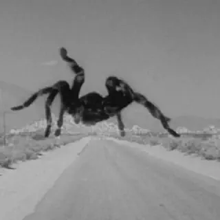 /img/15674-tarantula-impact-on-films.webp