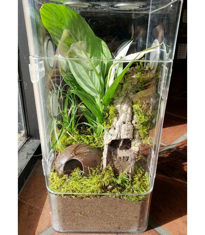 15675 tarantula enclosure ventilation