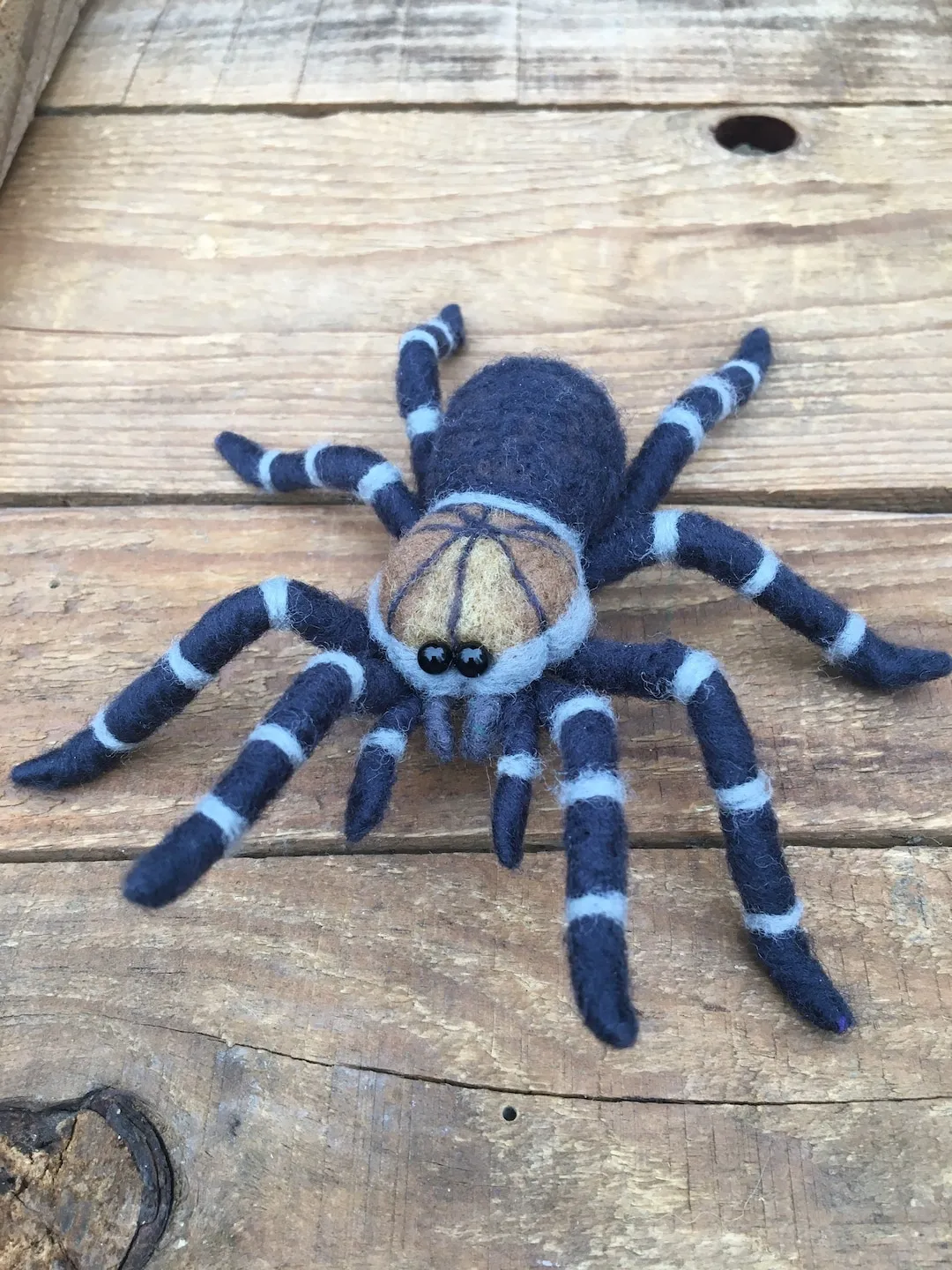 15690 needle felted tarantula markings