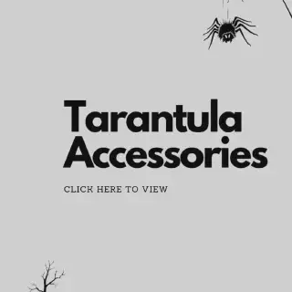/img/15706-tarantula-pairing-setup.webp