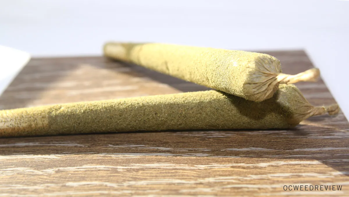 15714 ganjagold tarantula feeding