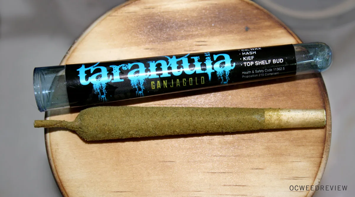 15714 tarantula ganjagold buying