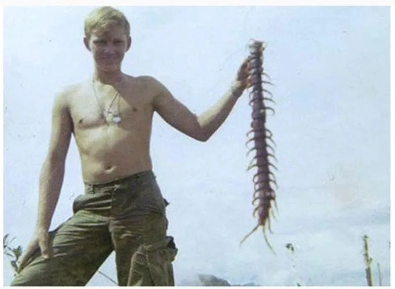 15720 giant centipede hunting