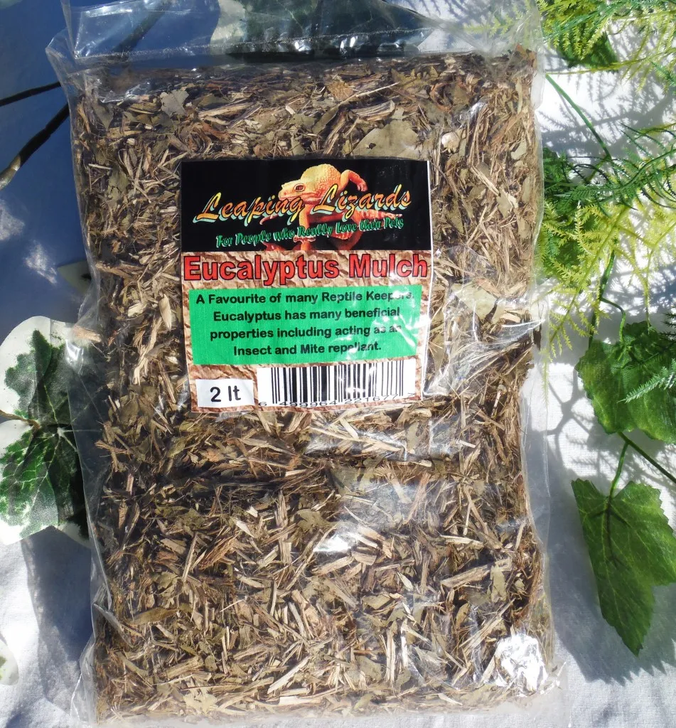 15721 coconut fiber tarantula