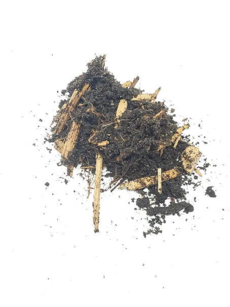 15721 tarantula substrate cleaning