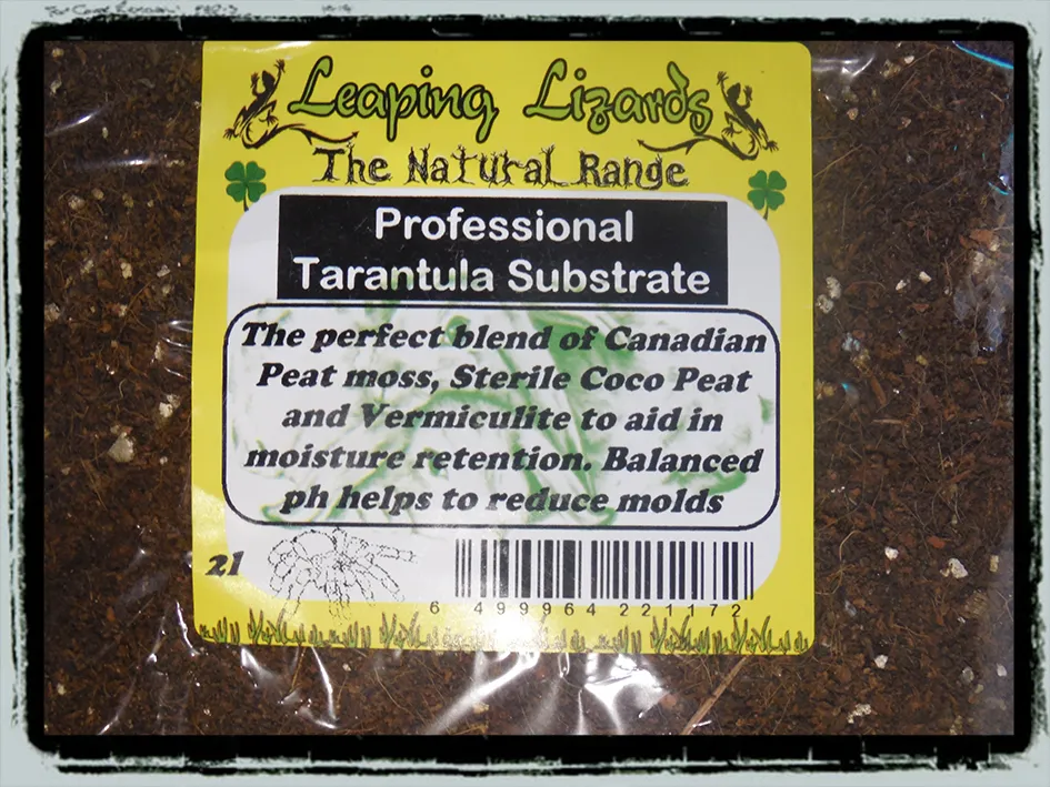 15721 tarantula substrate humidity