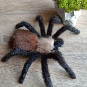 15727 facing fears tarantula