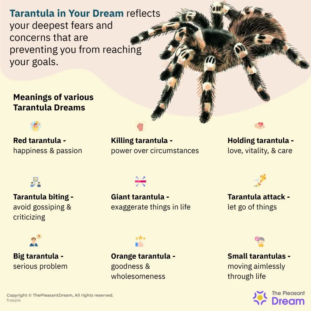 15731 tarantula dream image1