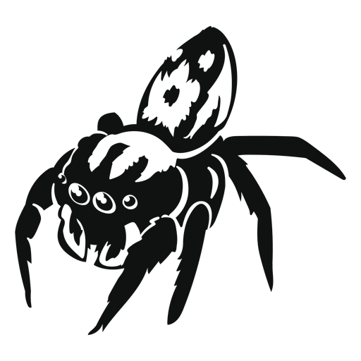 15732 tarantula shadows highlights