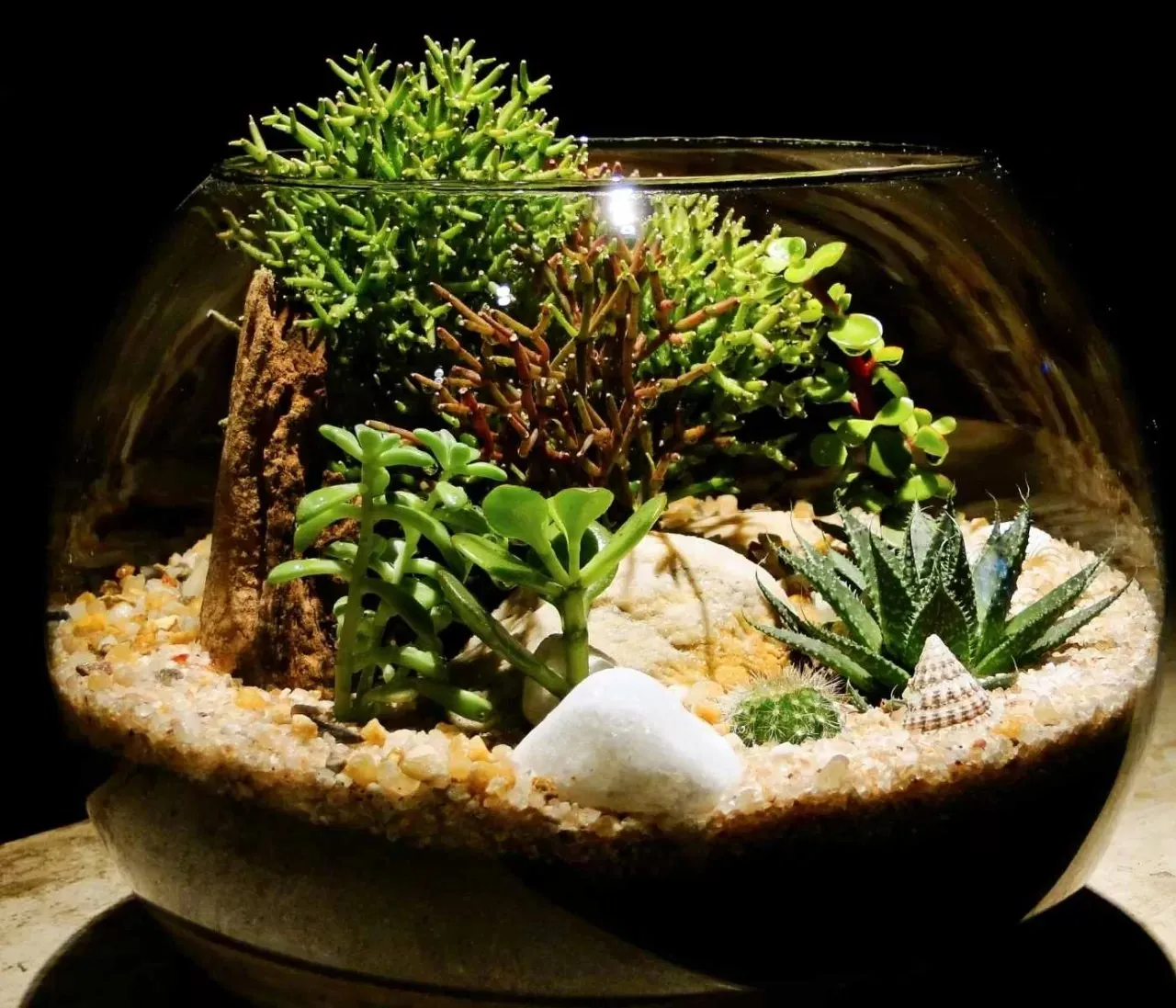 15745 tarantula enclosure ventilation