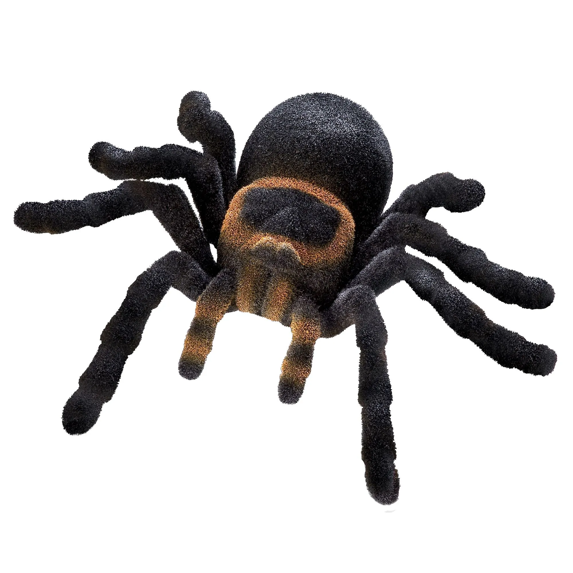 15750 tarantula handling