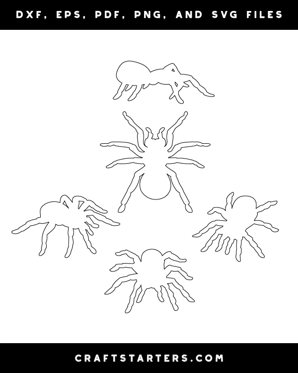 /img/15751-tarantula-behavior.webp