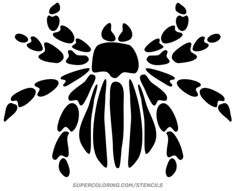 15751 tarantula feeding