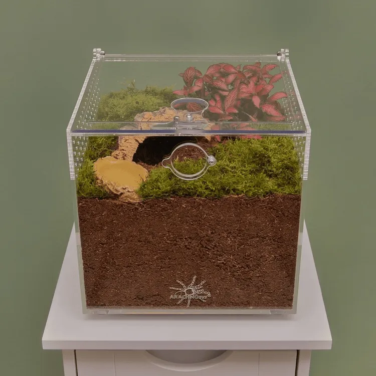 15760 tarantula stress