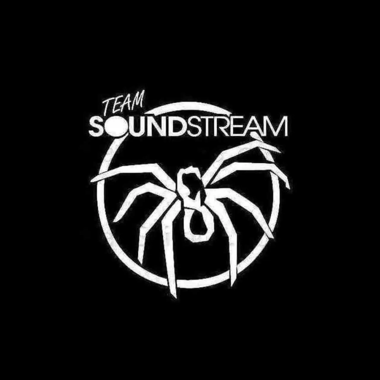 /img/15765-soundstream-tarantula-nano-verdict.webp