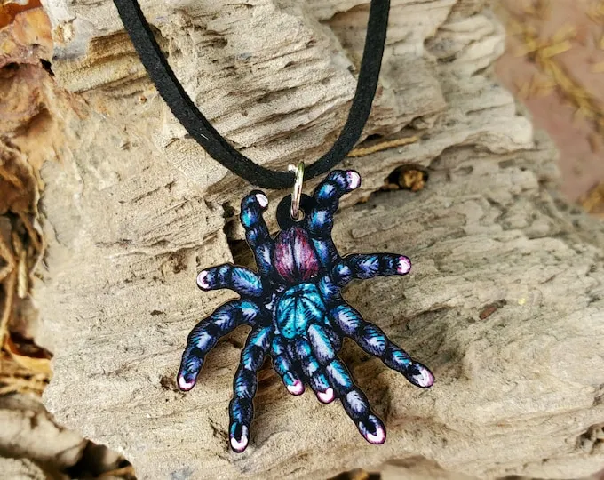 15770 pink toe tarantula spiderling